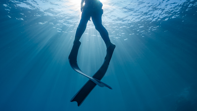 free diving